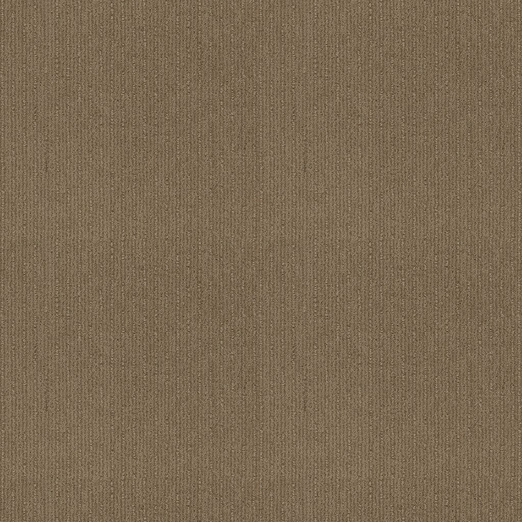 Shaw Floors Insightful Way - Summerville