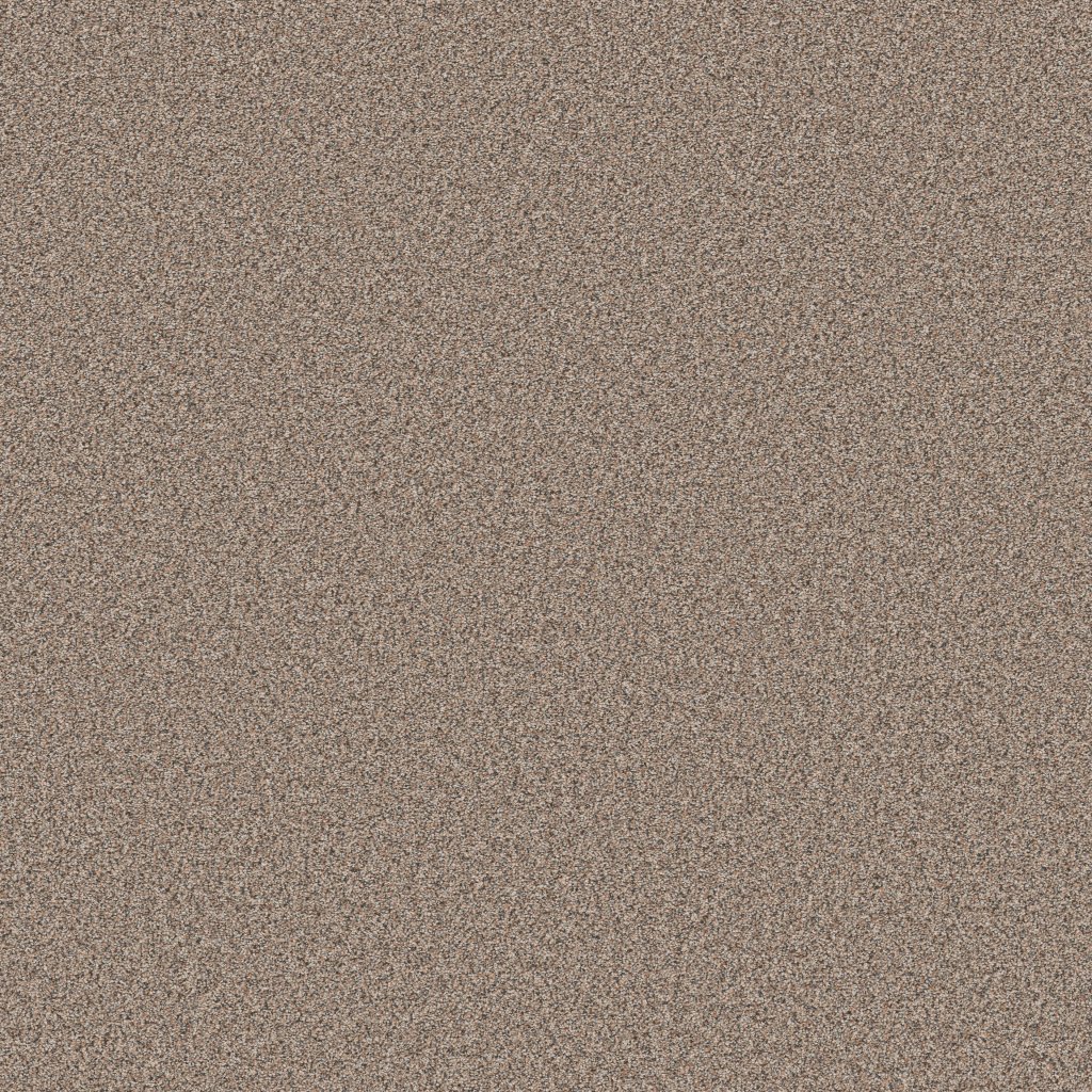 Shaw Floors Artistic Fusion II - Moonwalk