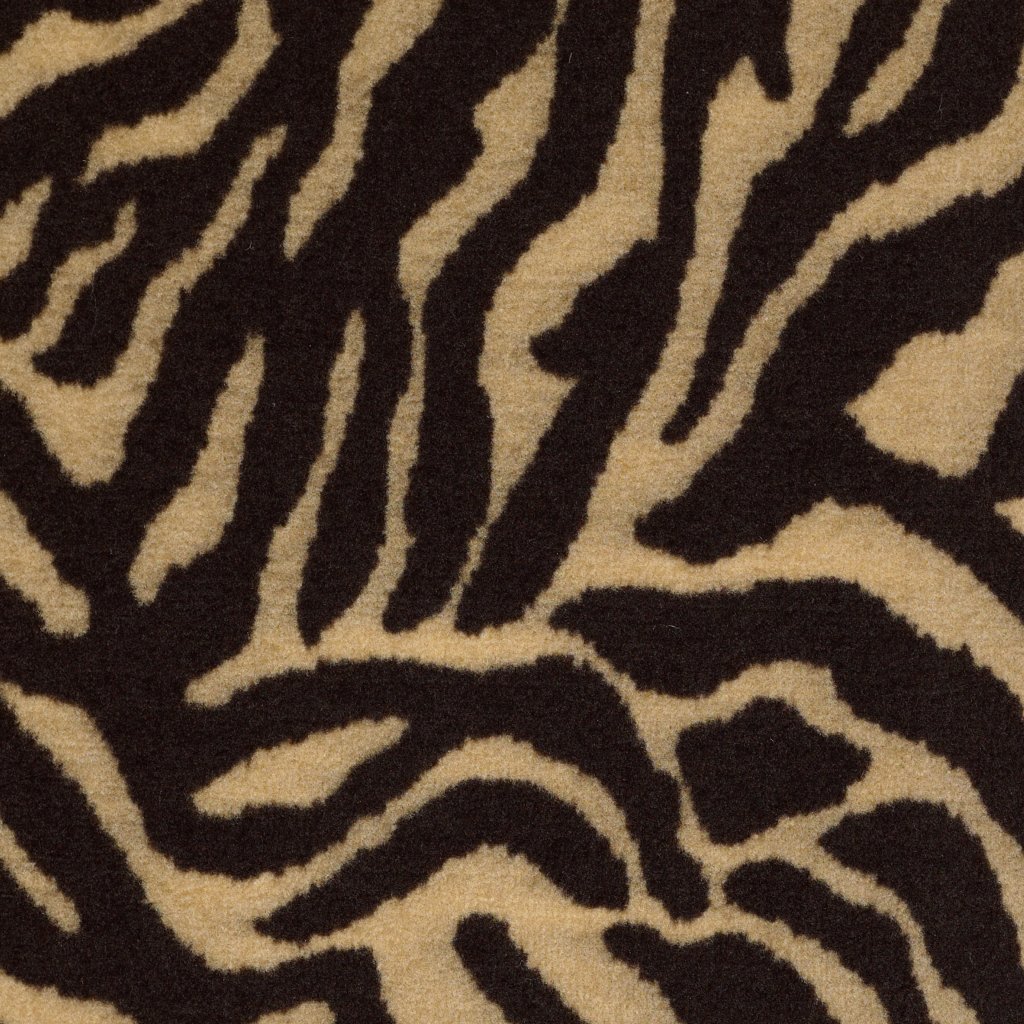 Philadelphia Commercial Zebra - Grazer