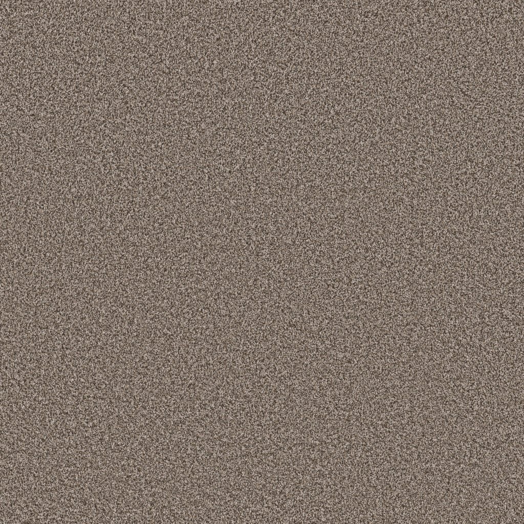 Shaw Floors Artistic Fusion II - Urban Rustic