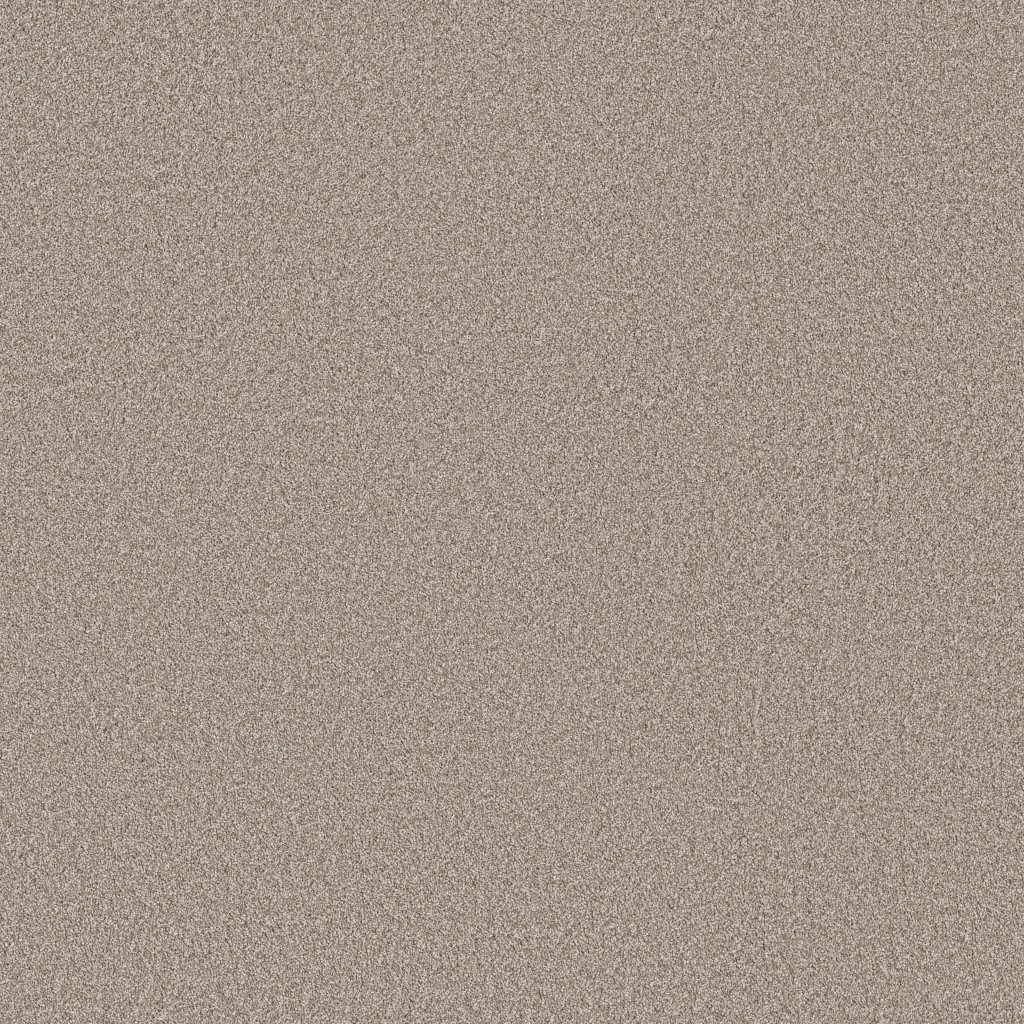 Shaw Floors Imaginable I - Granite Dust
