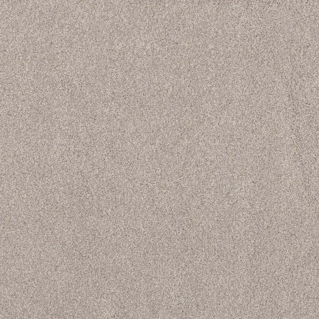 Shaw Floors Live On Comfort - Mountain Mist