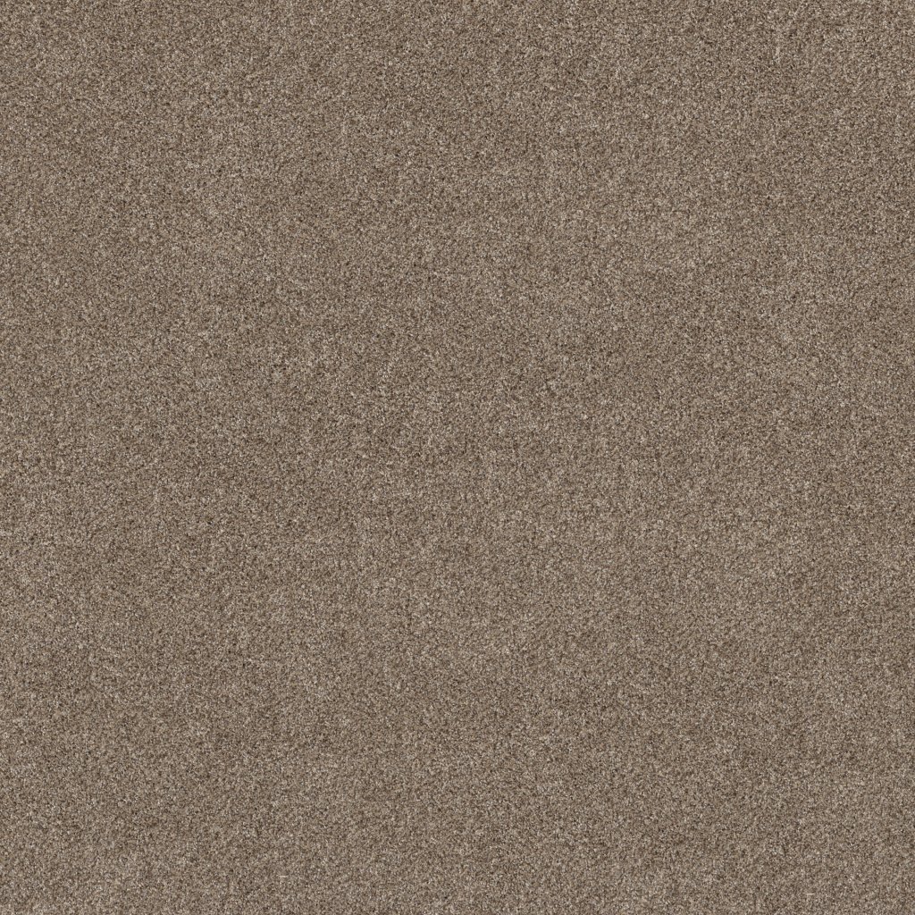 Shaw Floors Grand Outlook - Hearth Stone