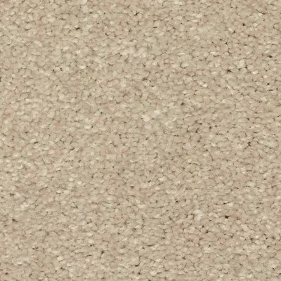 Mohawk Quality Living II - Linen Lace