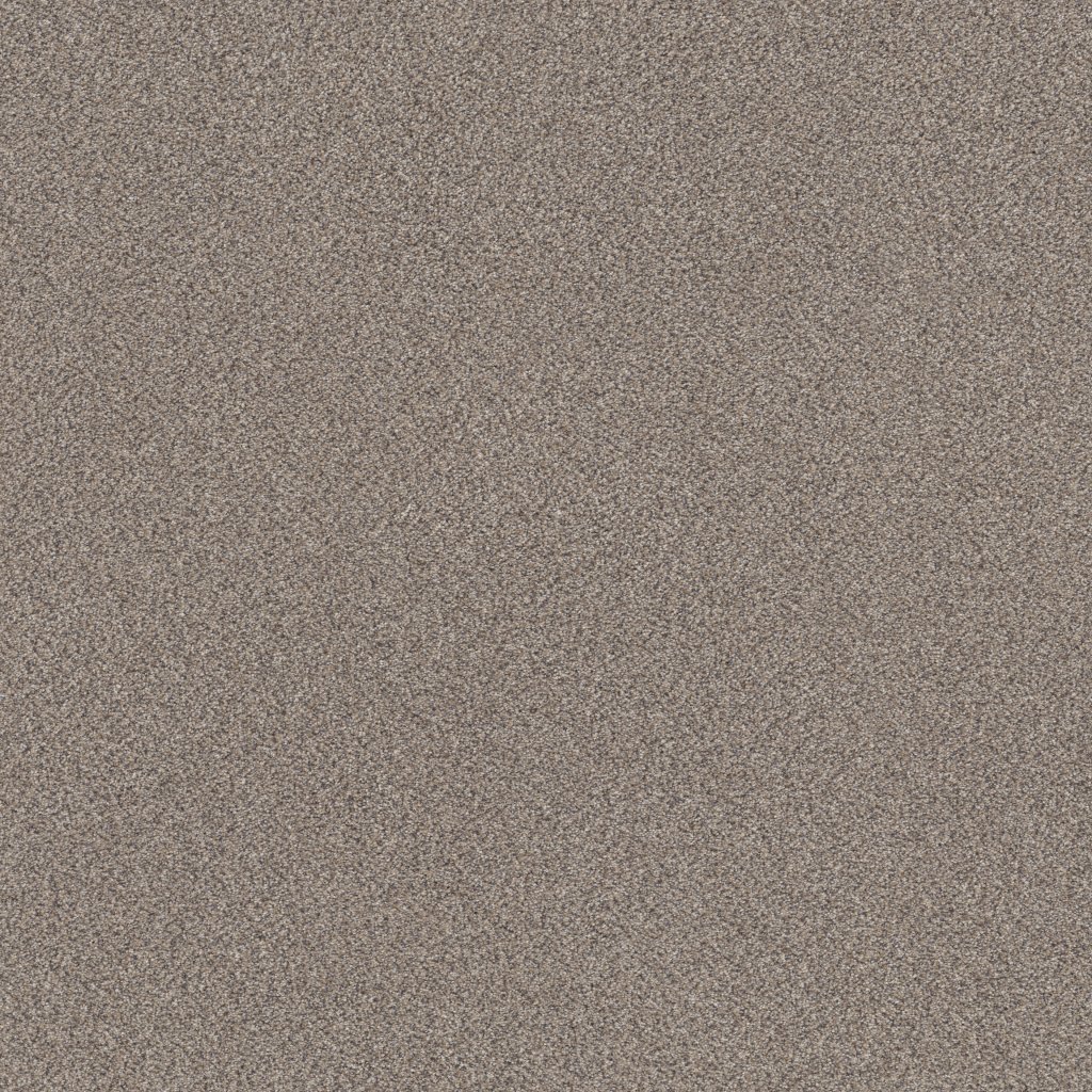 Shaw Floors Trusplendor - Concrete