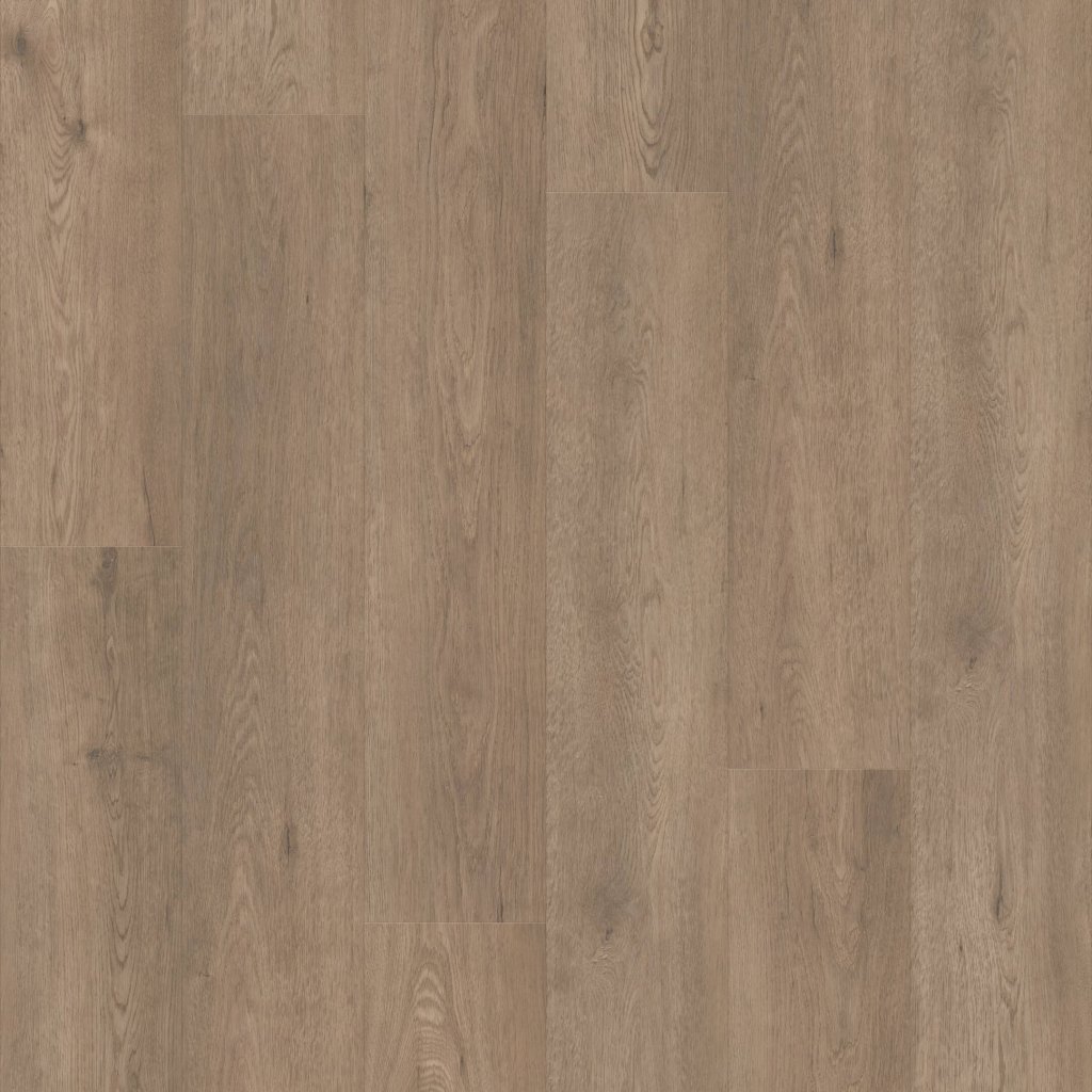 Shaw Floors Paragon HD Plus NB - Winthrop
