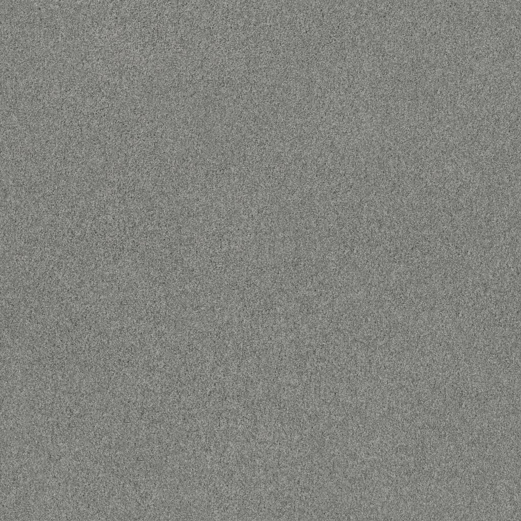 Shaw Floors Cozy Harbor II - Grounded Gray