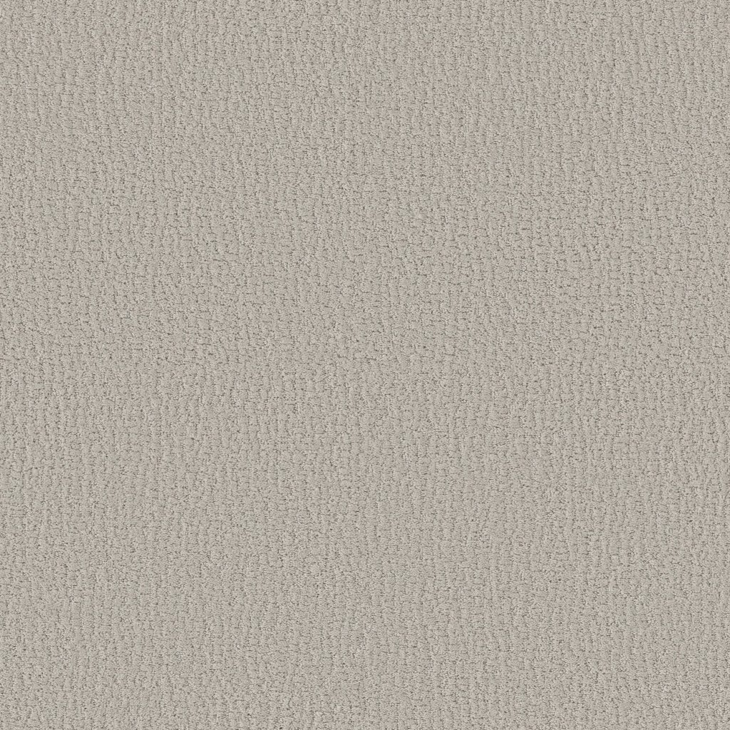 Shaw Floors Studio Set - Forest Fog