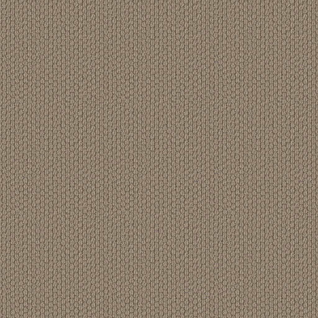 Shaw Floors Cathedral Hill II - Canyon Clay