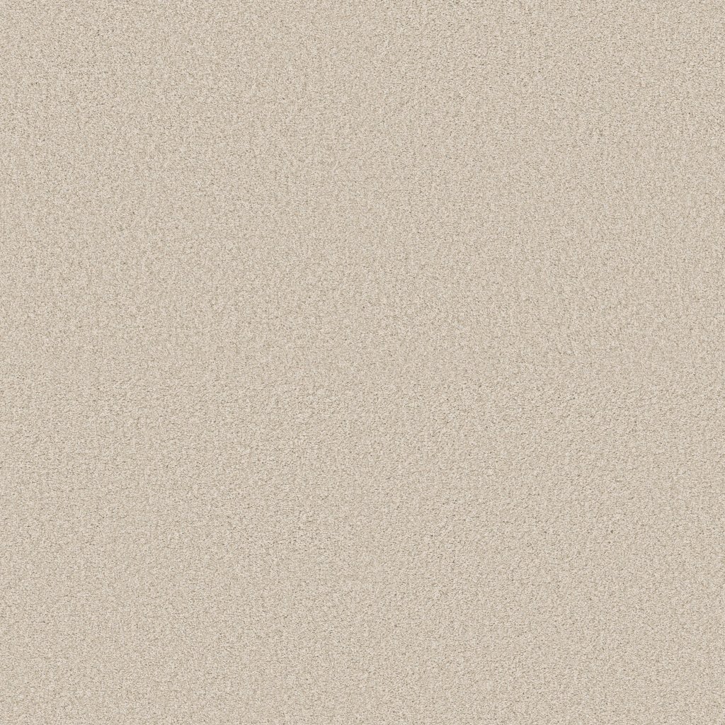 Shaw Floors Tonal Comfort II - Meadow
