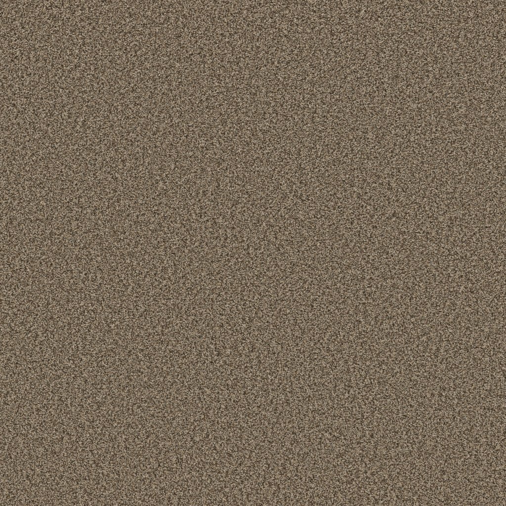 Shaw Floors Prescott Valley - Joshua Tree