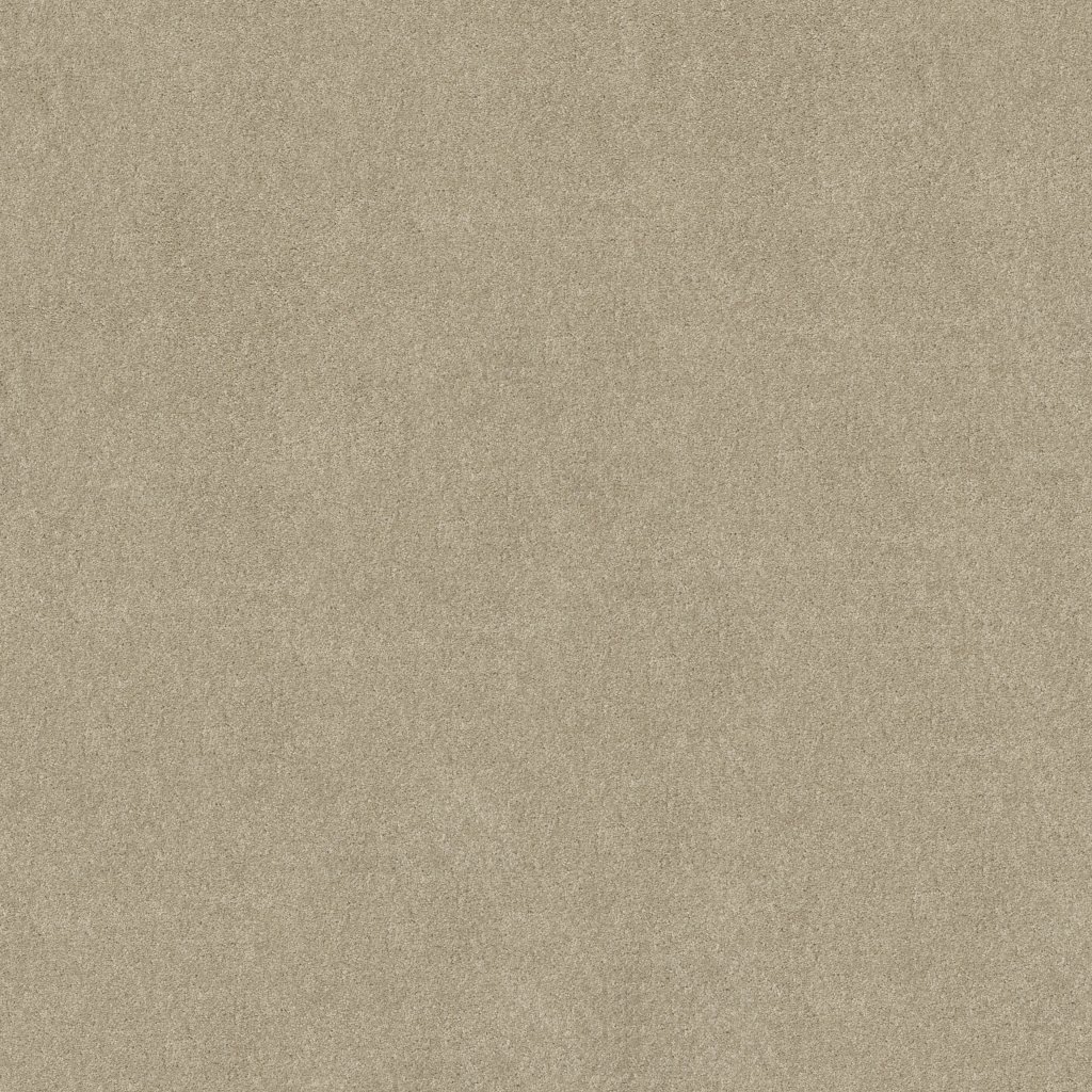 Shaw Floors THAT'S RIGHT - Linen