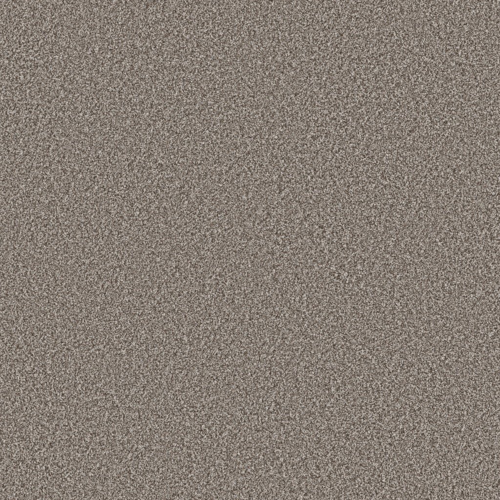 Shaw Floors Artistic Fusion II - Ashes