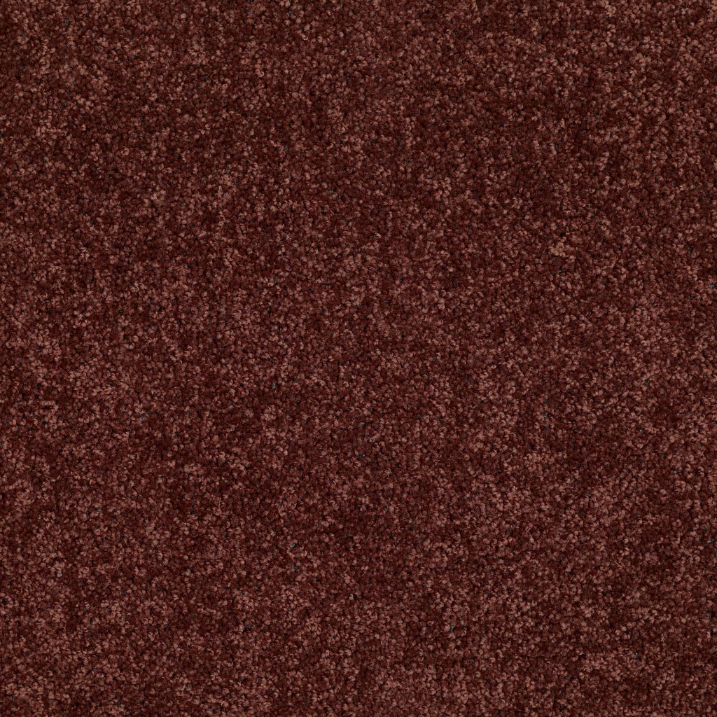 Shaw Floors Briceville Classic 12 - Coffee