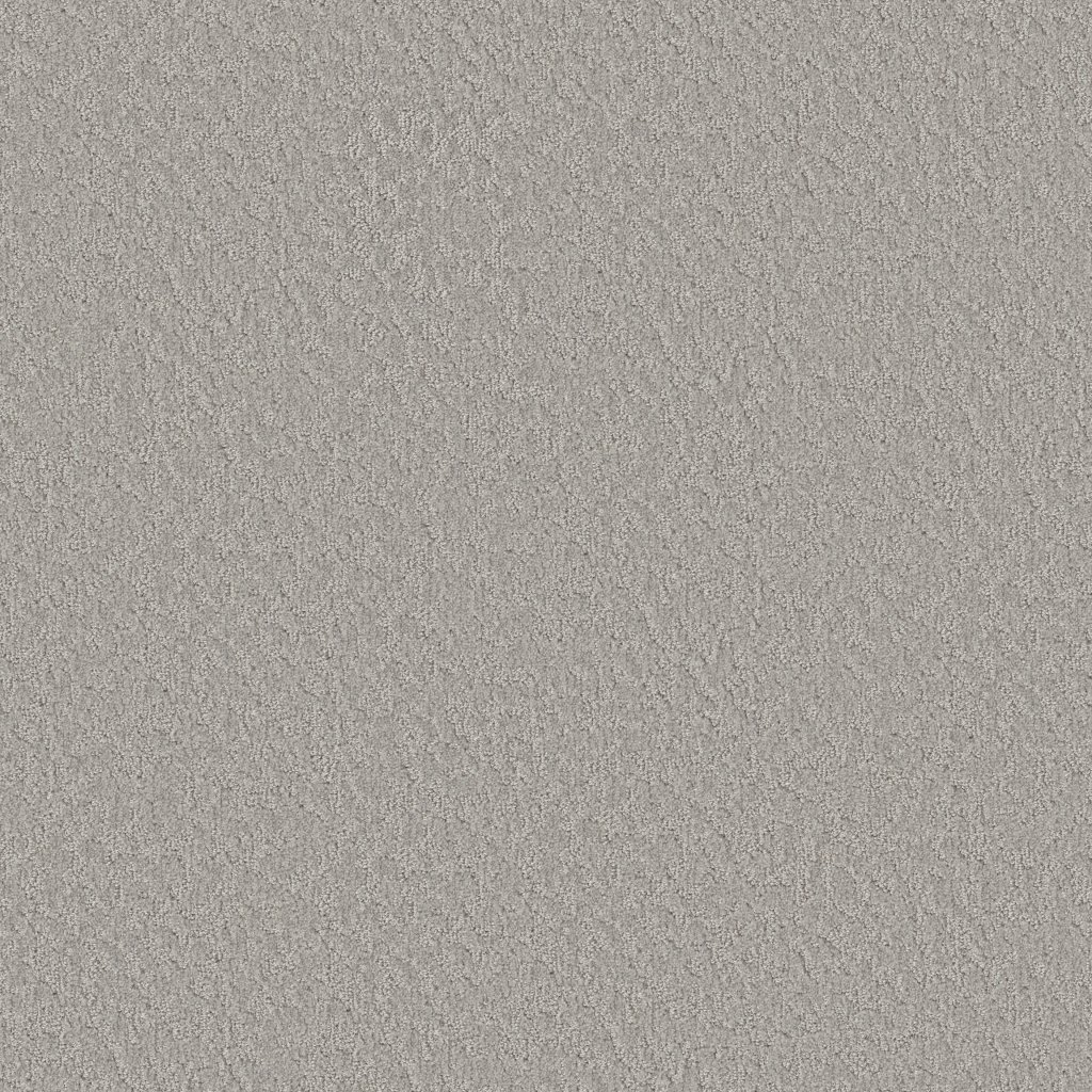Shaw Floors Clever Blend - Gravity