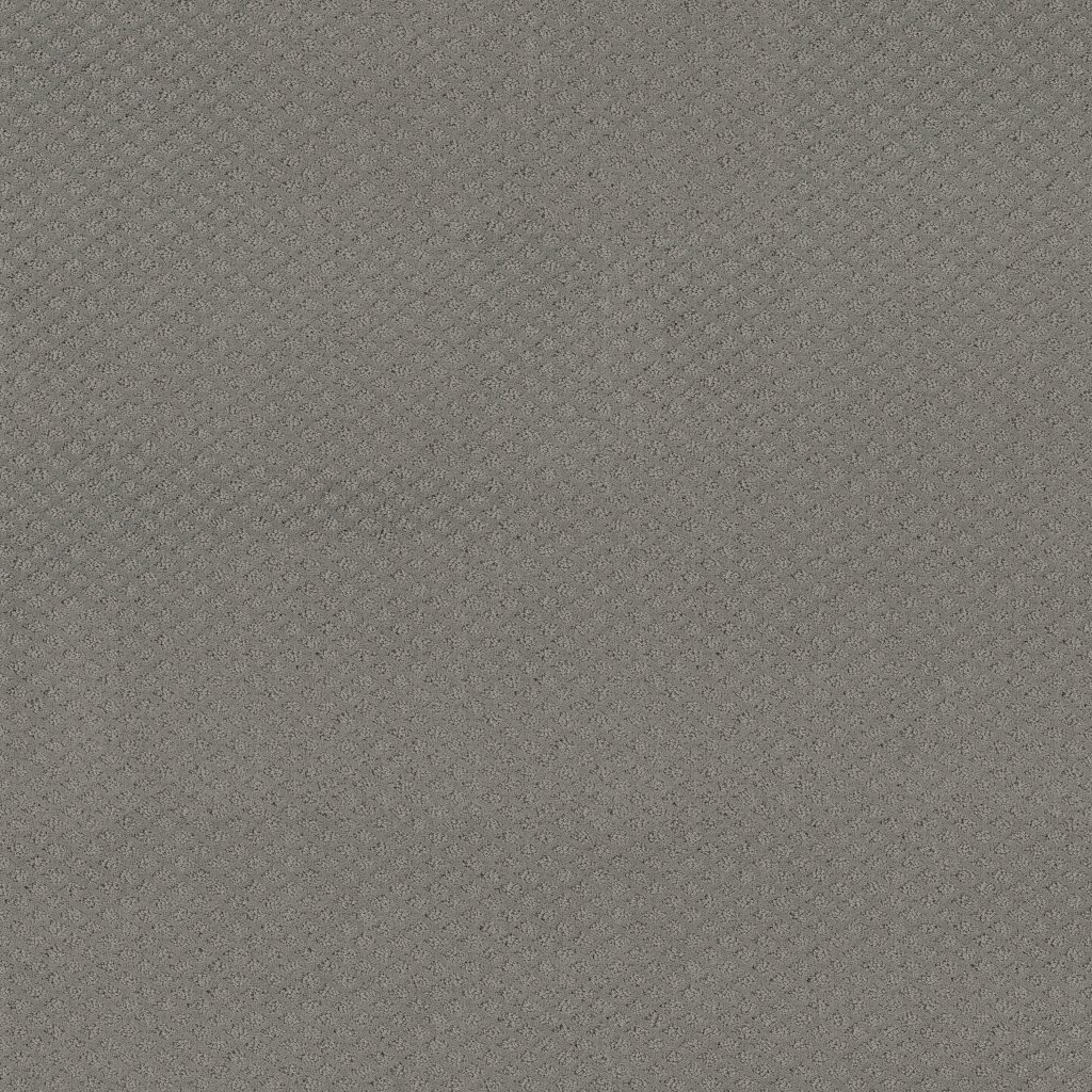 Shaw Floors Formalize - Grey Fox
