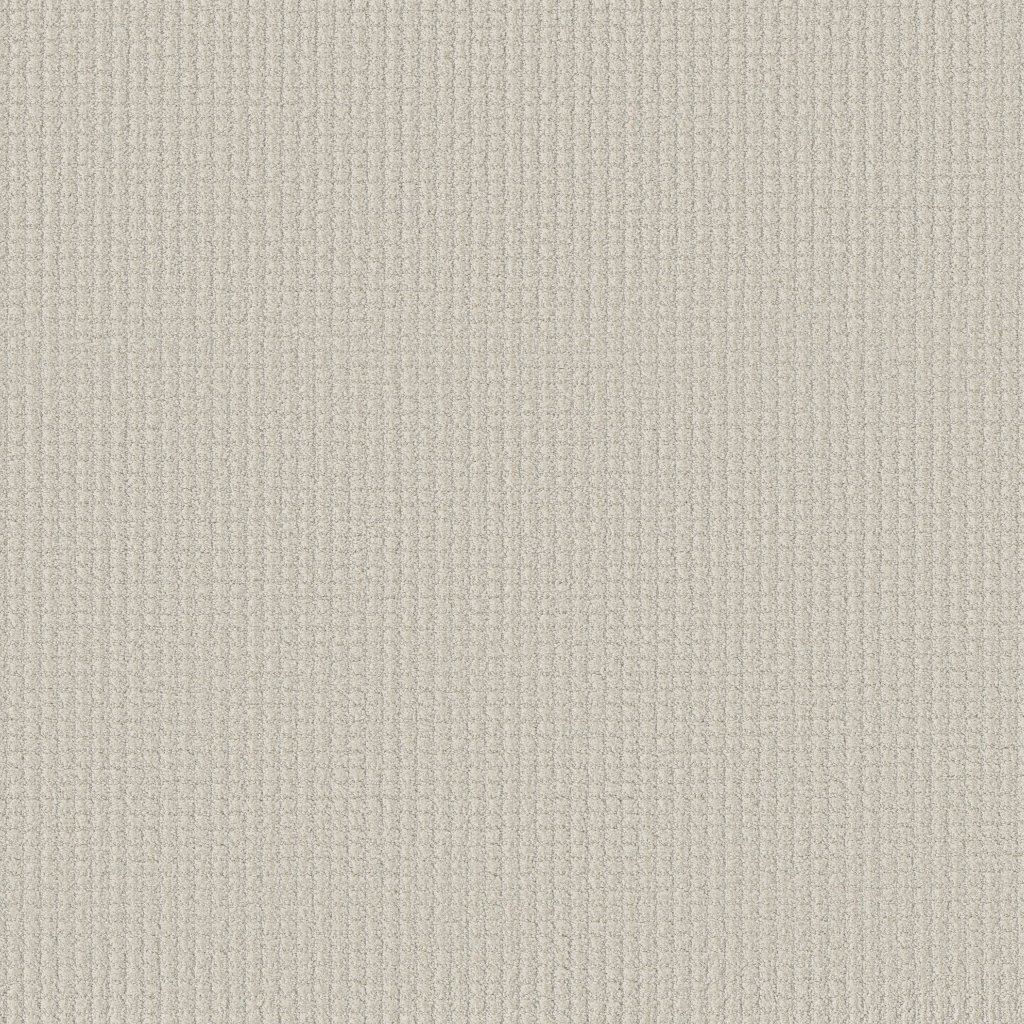 Shaw Floors Aerial Arts - Cotton
