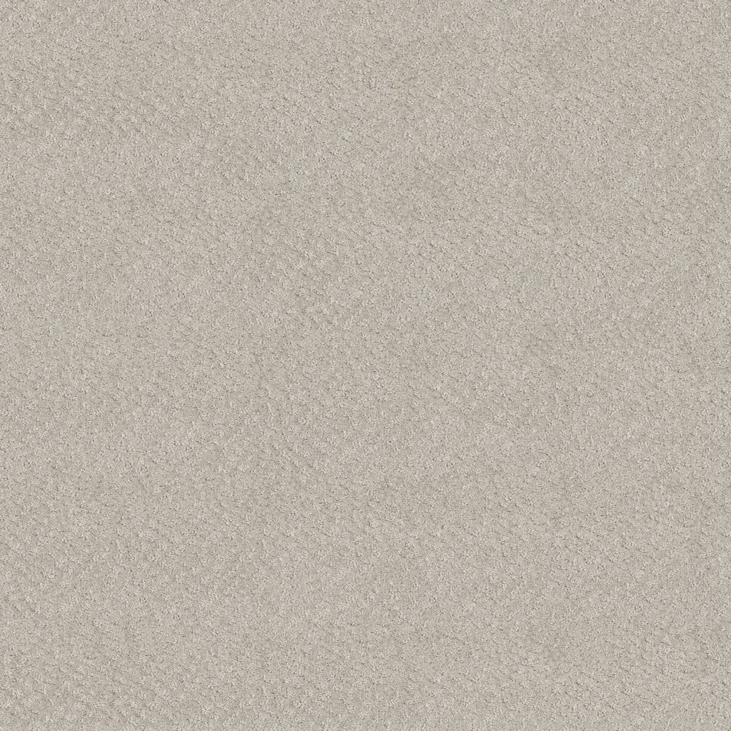 Shaw Floors Chic Shades - Winters Dawn