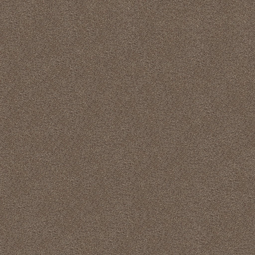 Shaw Floors Tonal Comfort I - Summer House