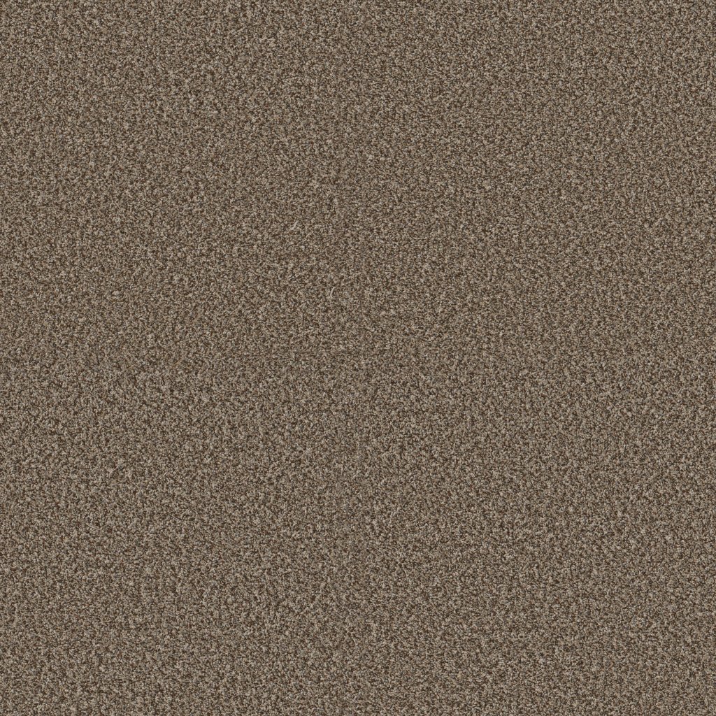 Shaw Floors Renewed Energy I - Freckles