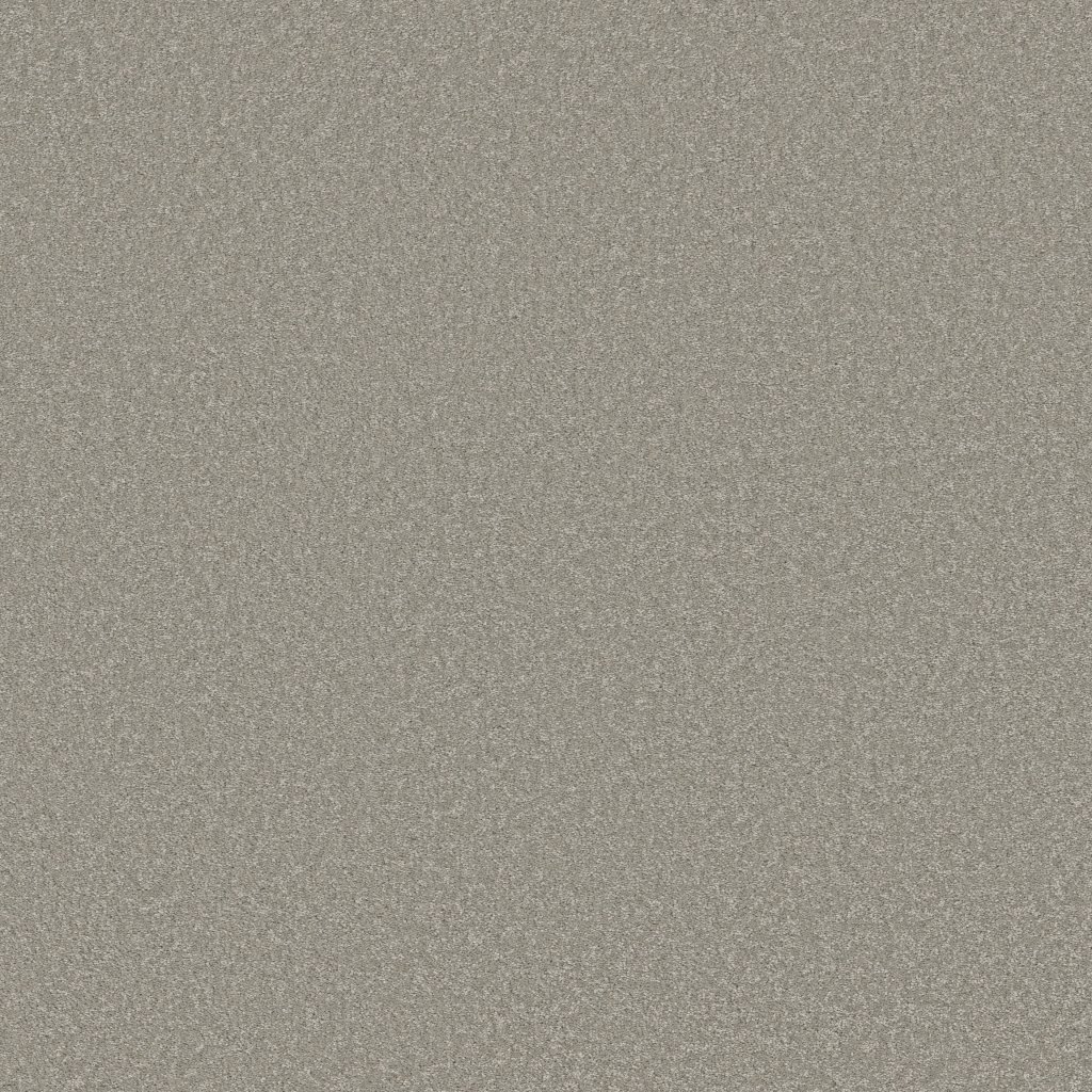 Shaw Floors Way To Go II - Taupe Tone