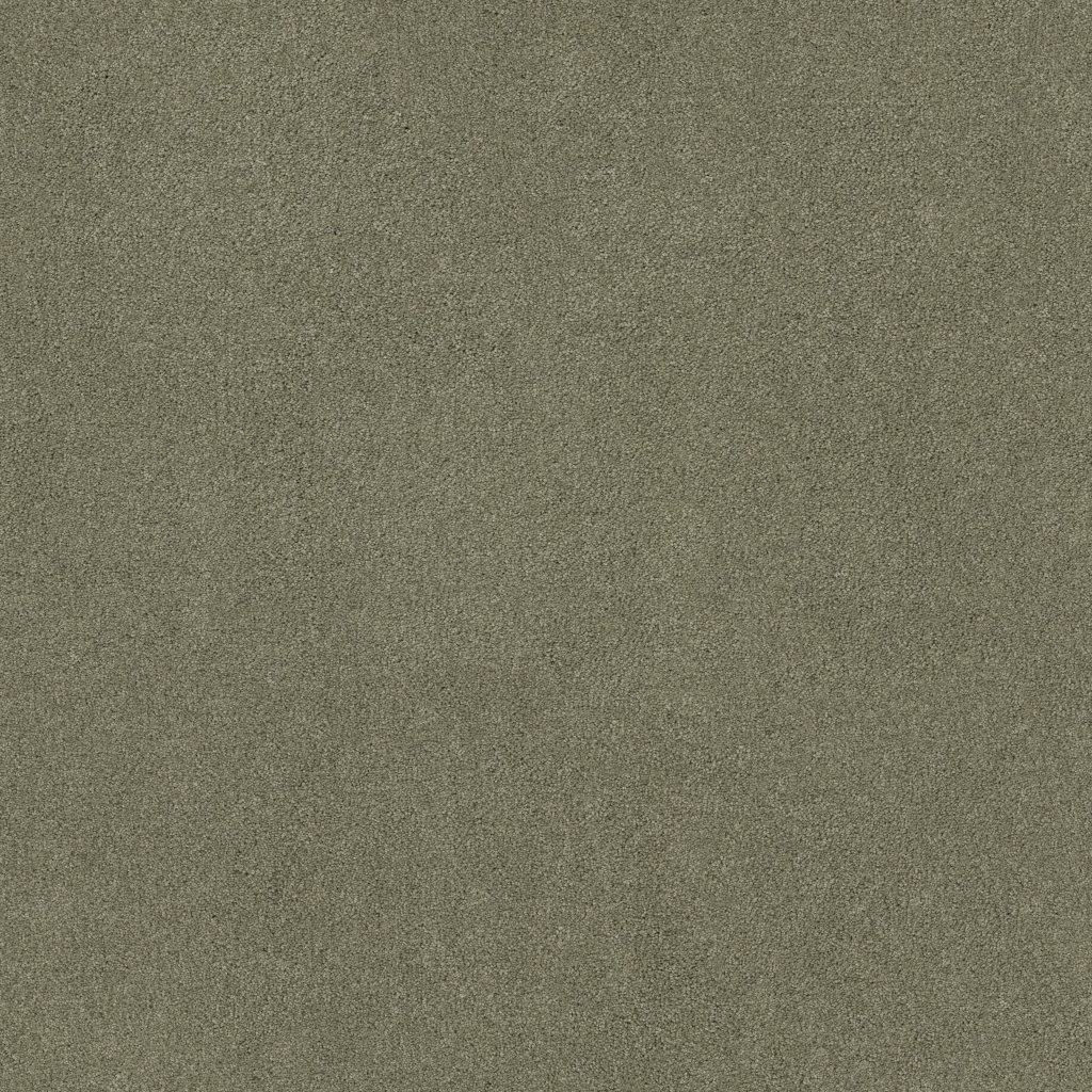 Shaw Floors Tip Of The Hat - Silver Sage