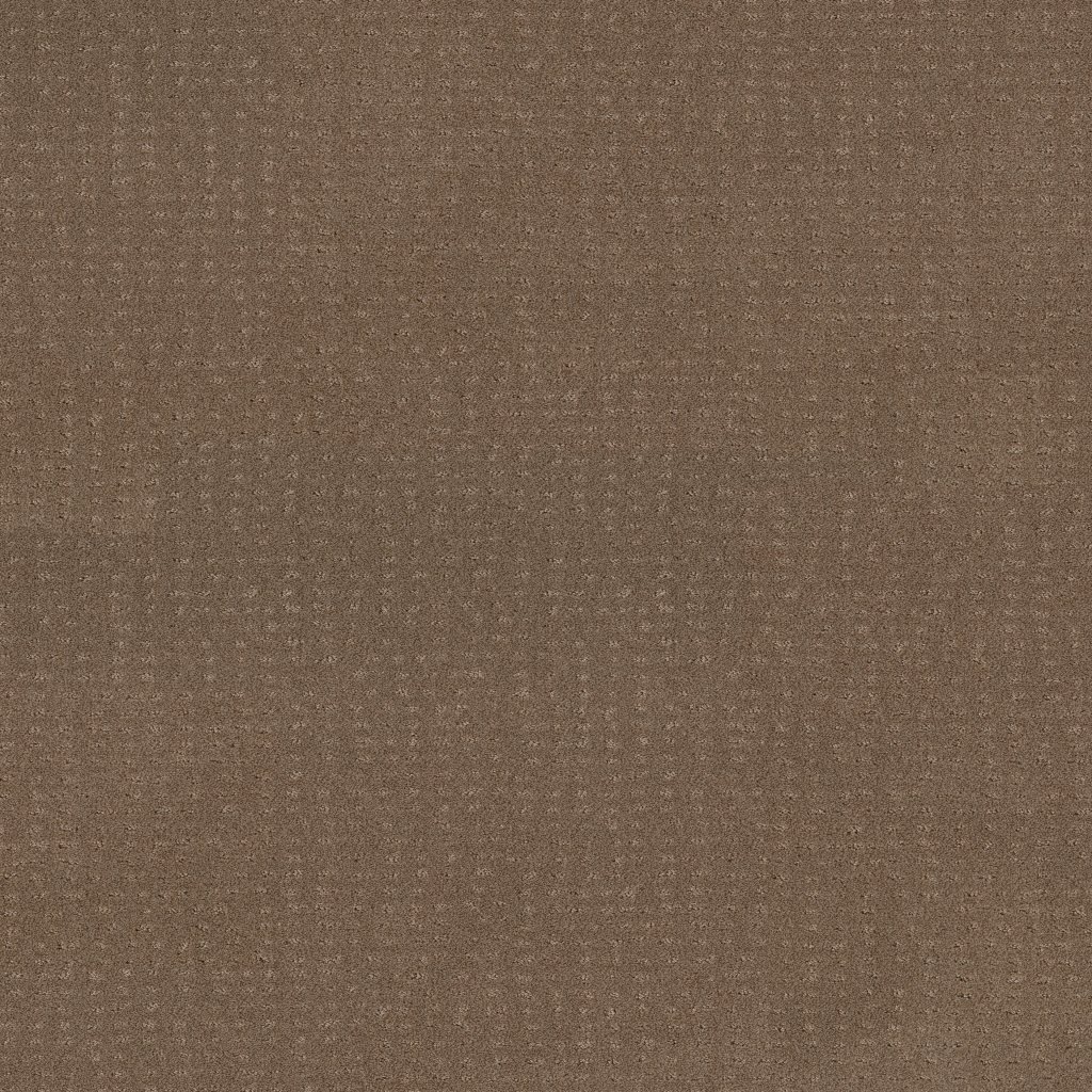 Shaw Floors Chic Nuance - Raw Wood