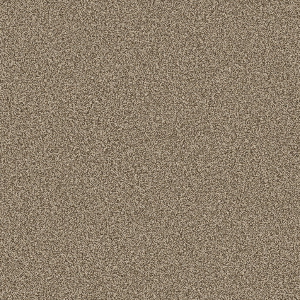 Shaw Floors Prescott Valley - Roasted