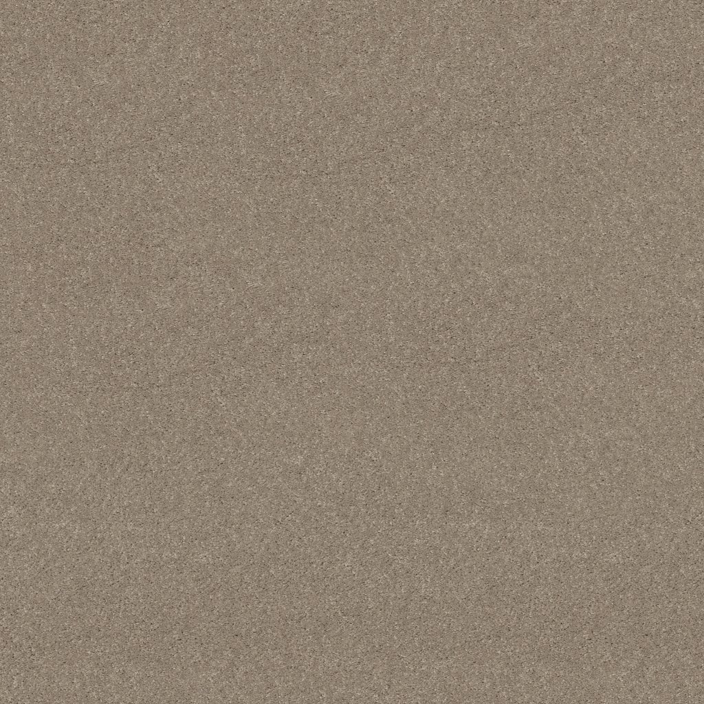 Shaw Floors Newbern Classic 15' - Antique Silk