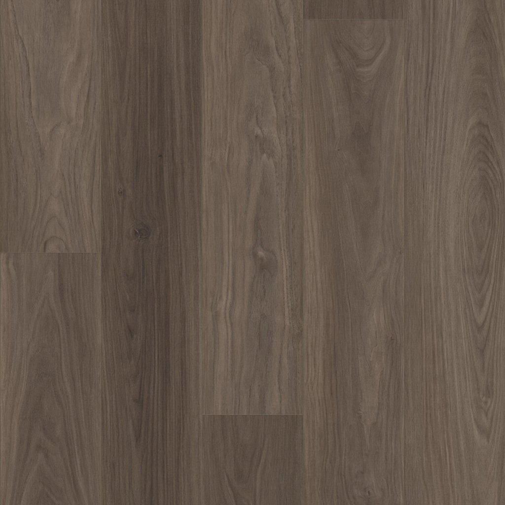 Shaw Floors HOMEBOUND - Obsidian