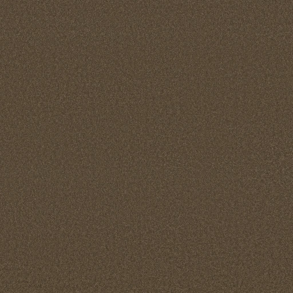 Shaw Floors Shingle Creek IV 12' - Wooden Box
