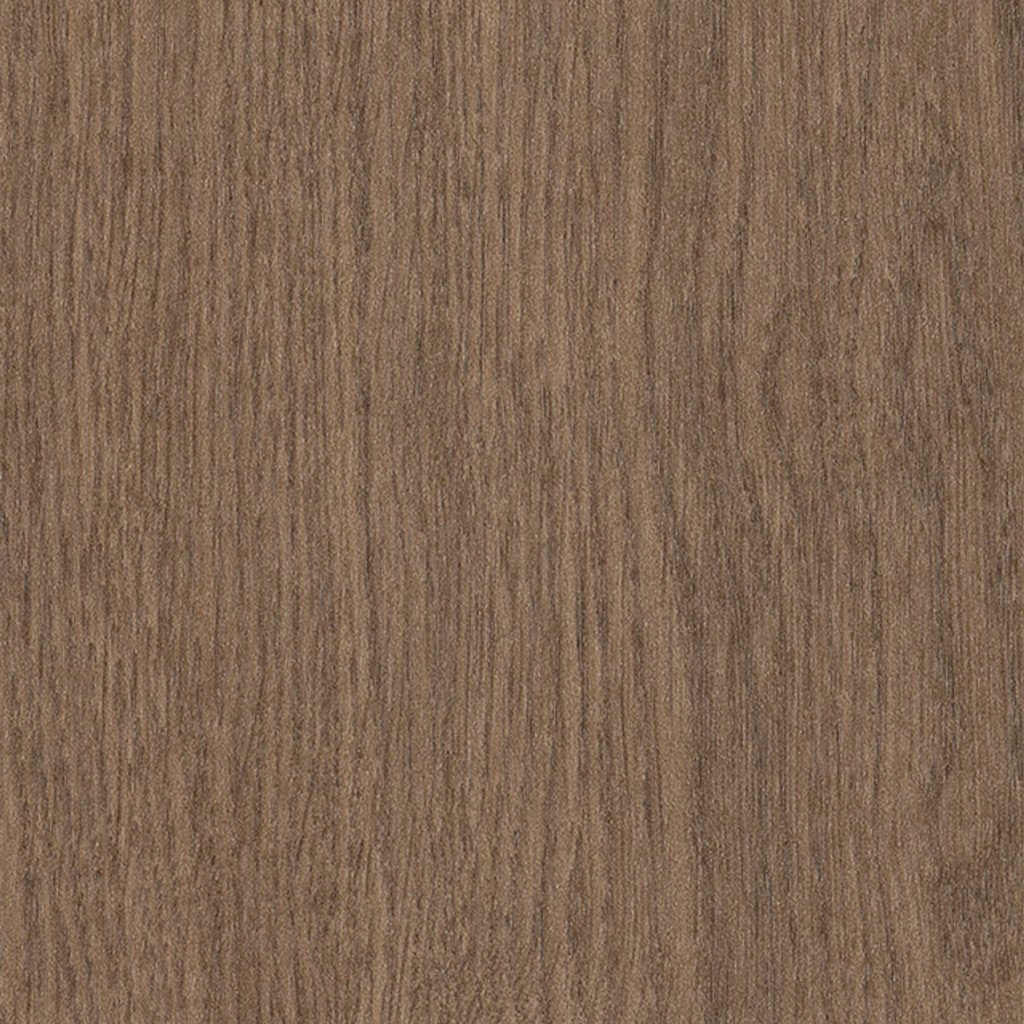 Philadelphia Commercial Willow Oak 12m - Grounded Oak