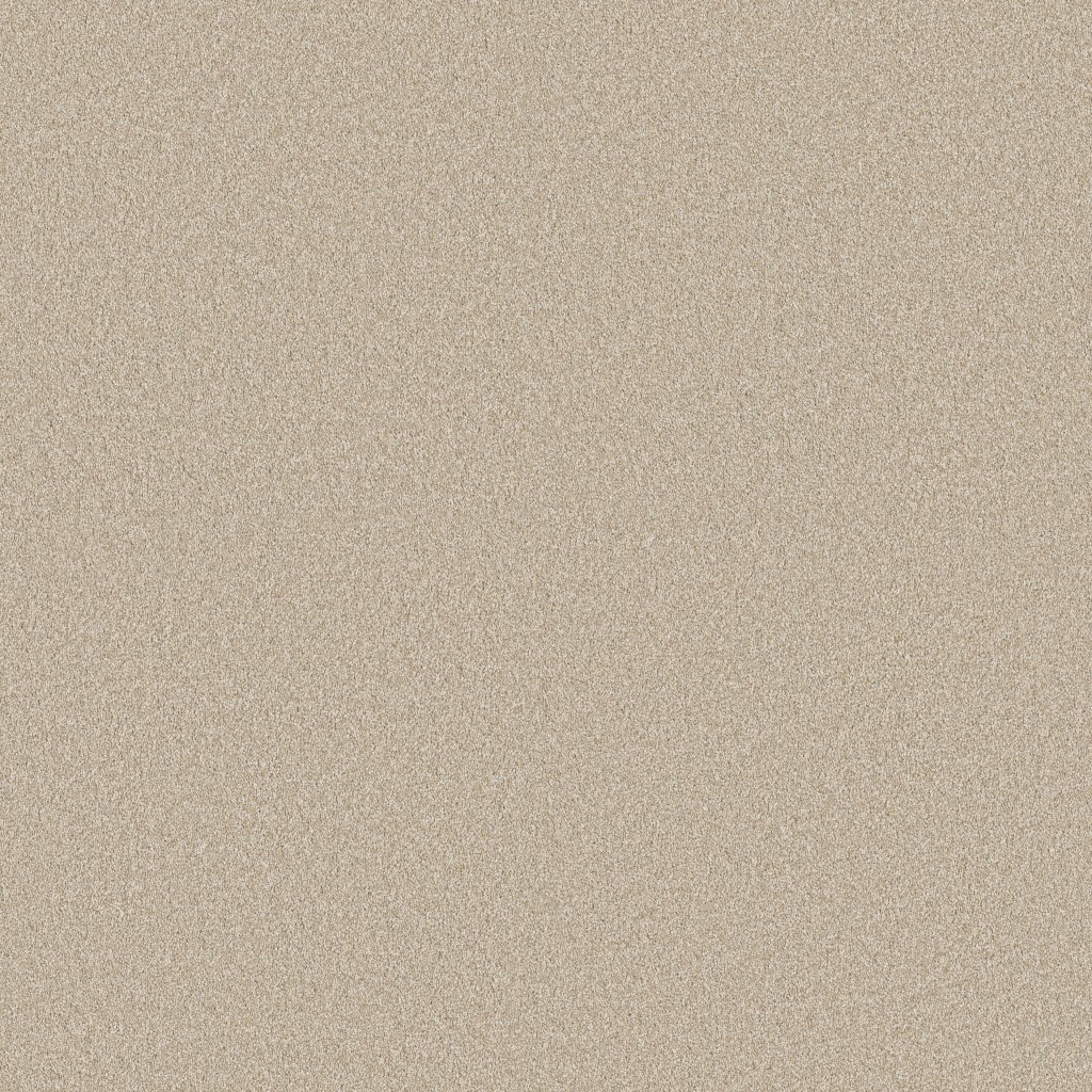 Shaw Floors Classic Tone - Open Canyon