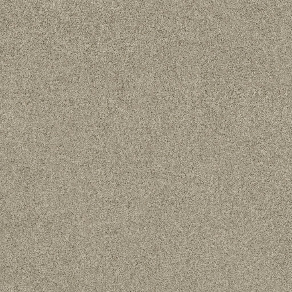 Shaw Floors Salina I - Gray Whisper