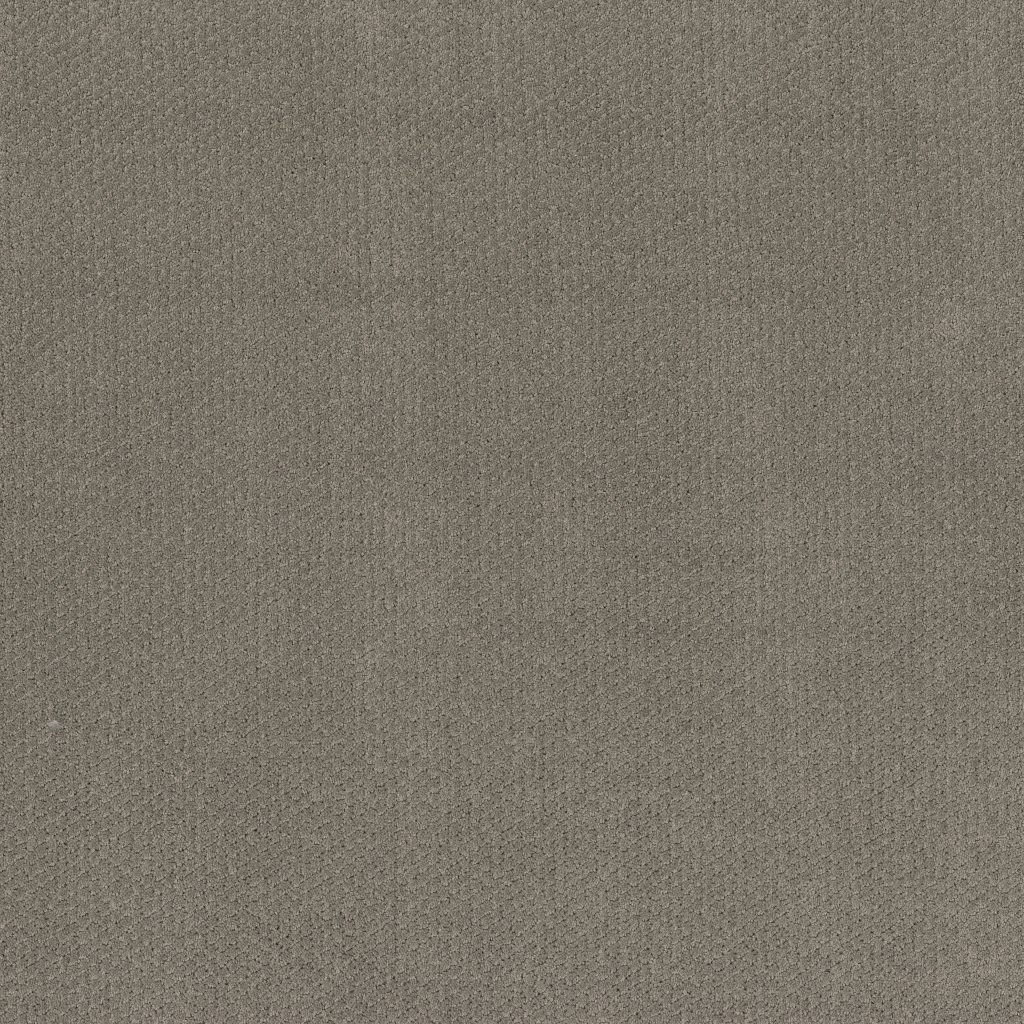 Shaw Floors Simply Classic - Ashes