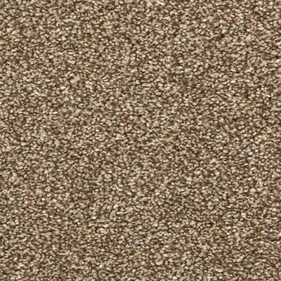 Mohawk Dynamic Quality I - Spice Cake