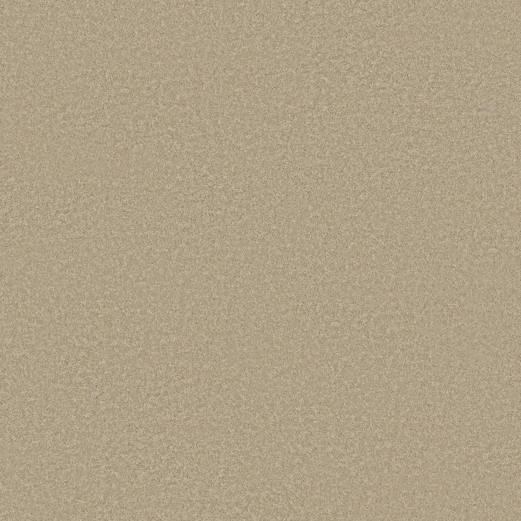 Shaw Floors Smooth Tone Blue - Safari