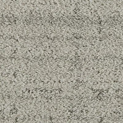Mohawk Paw-Some Plaid - Silver Ash