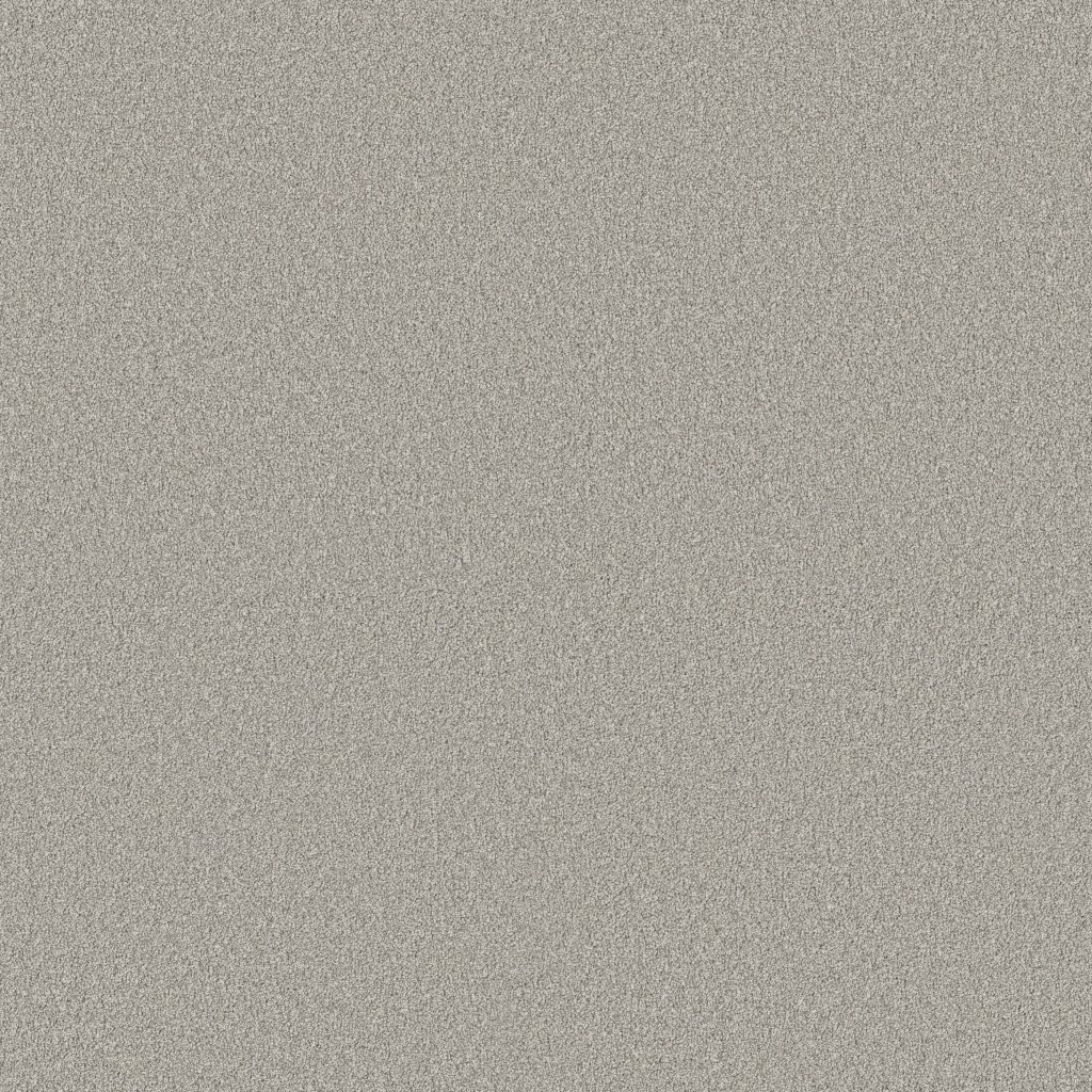 Shaw Floors Classic Tone - Magnetic