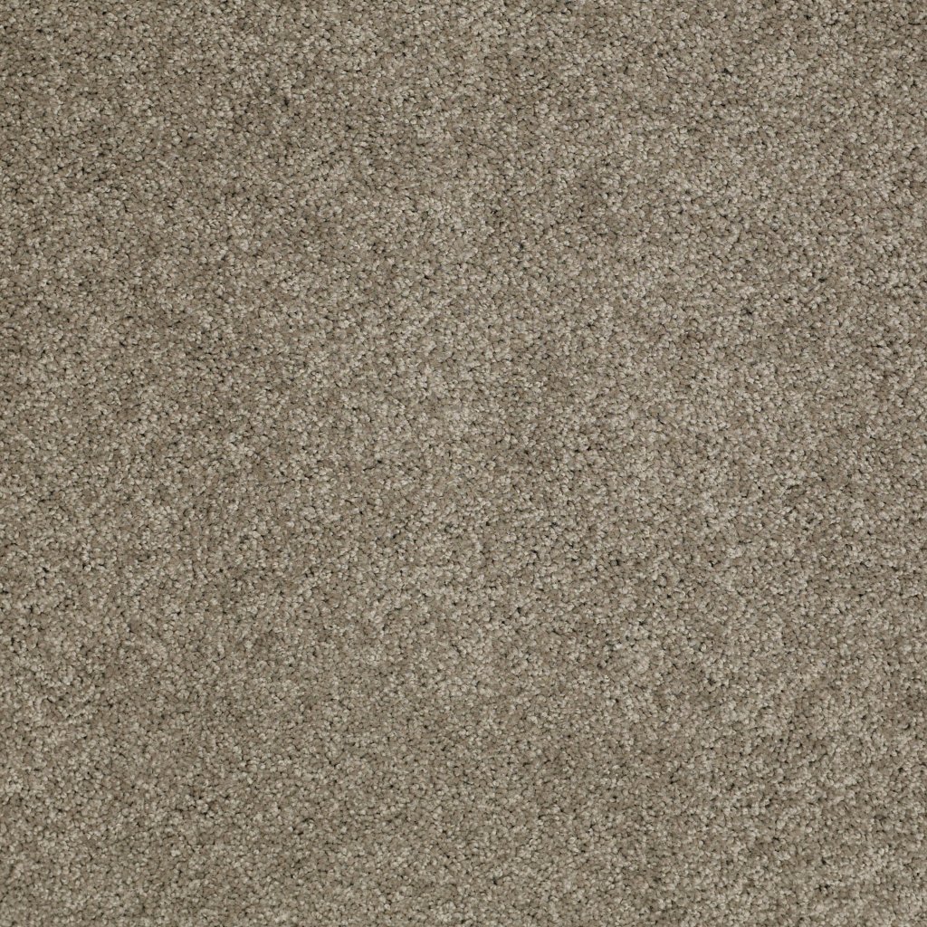 Shaw Floors Origins Ii - Elephant