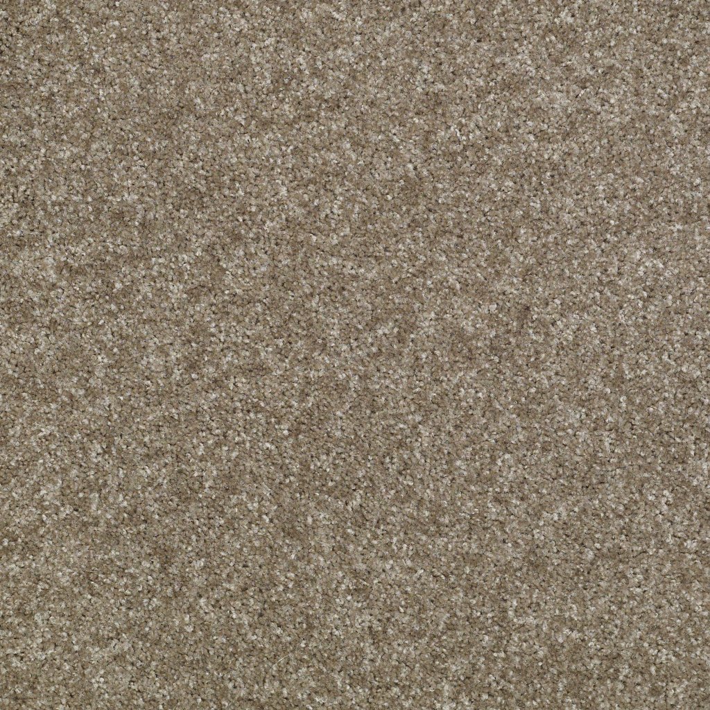 Shaw Floors Victory - Calming