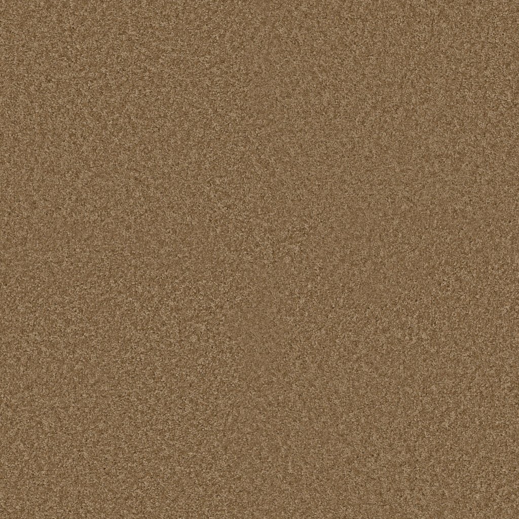 Shaw Floors Vitalize (S) 12' - Stucco