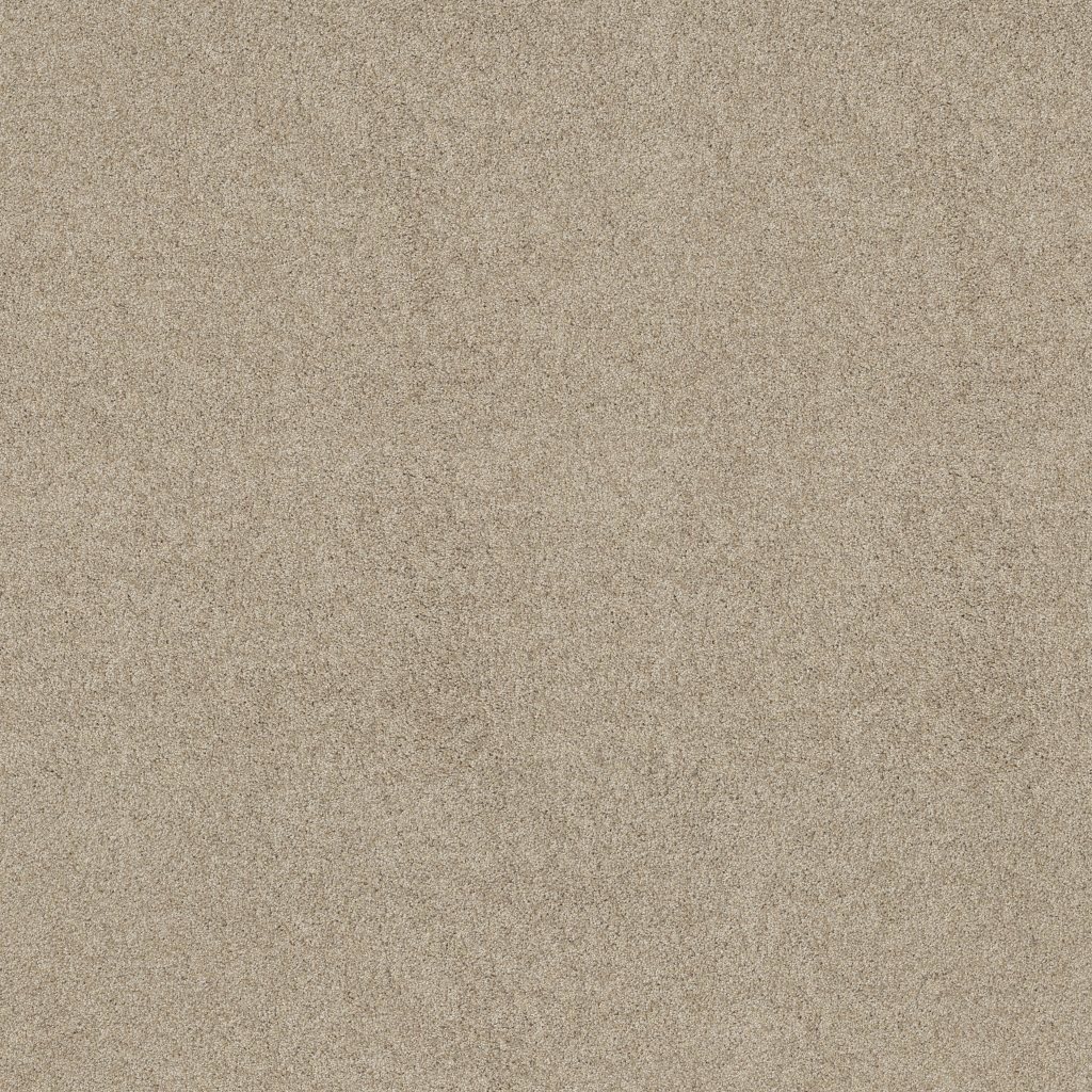 Shaw Floors Always Mine - Dhurrie