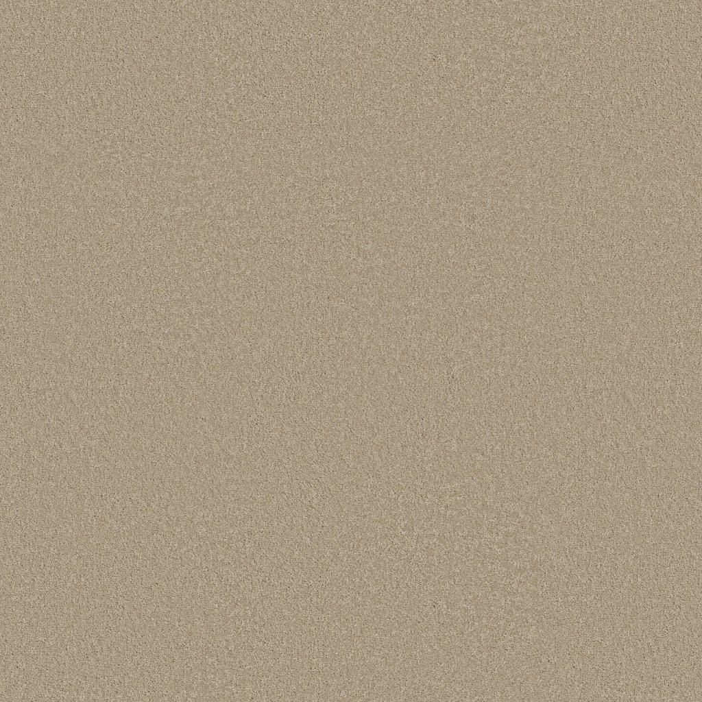 Shaw Floors Timeless Appeal III 12' - Oatmeal