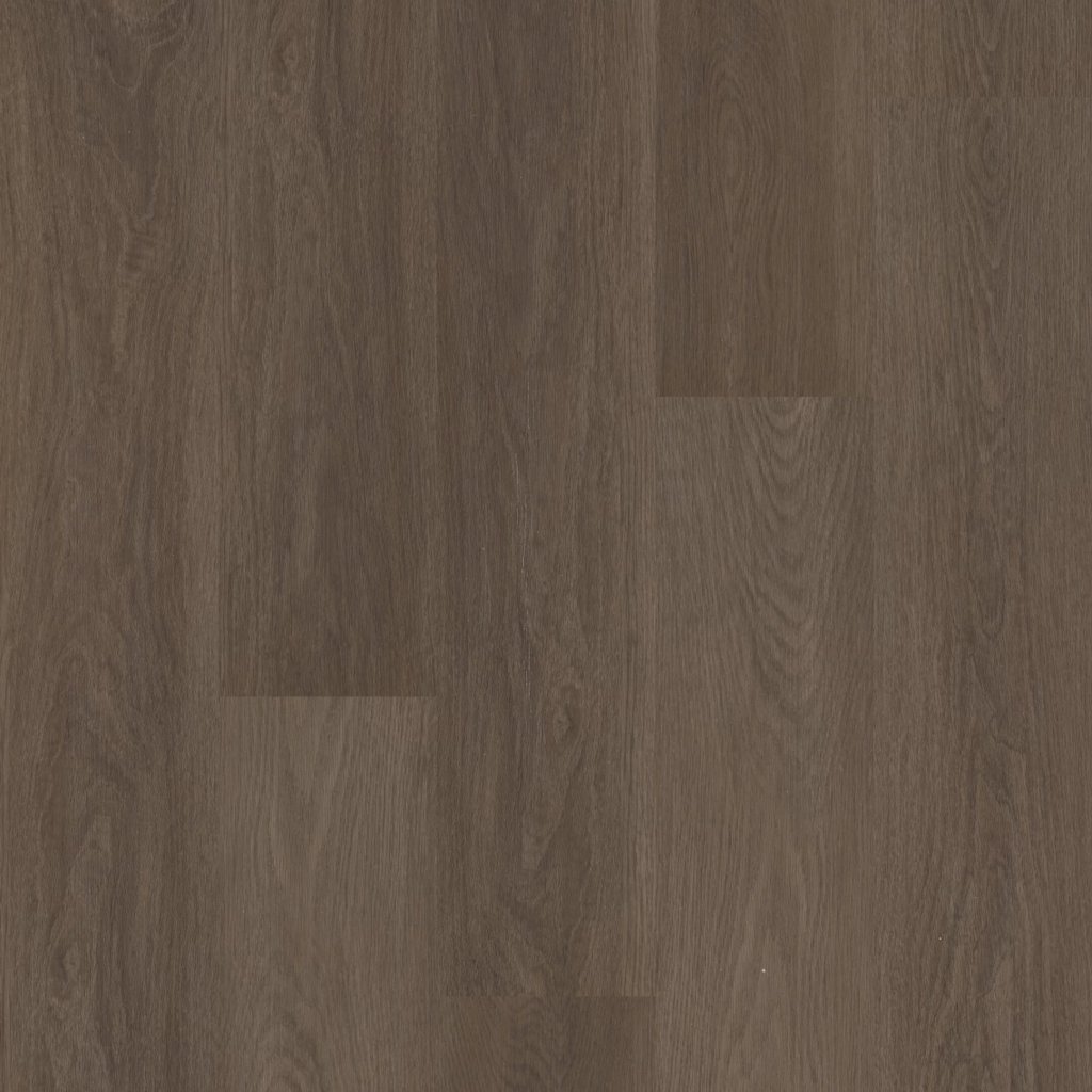 Shaw Floors DISTINCTION PLUS - Barrel Oak