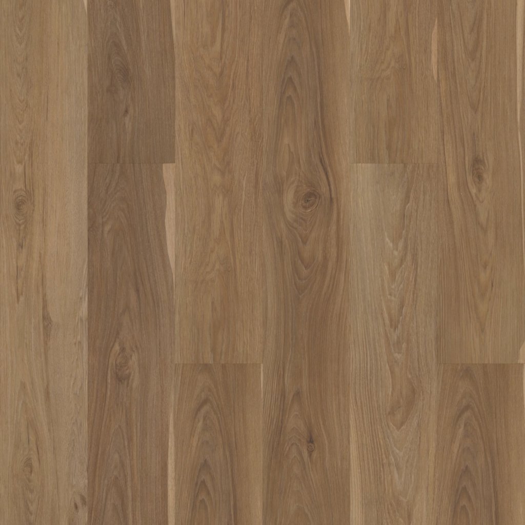 Shaw Floors Summit - Olive Tree