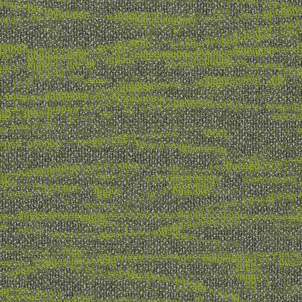 Philadelphia Commercial Tidewater - Taiga