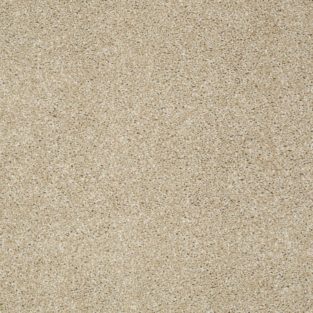 Shaw Floors Sun Drenched - Field Stone