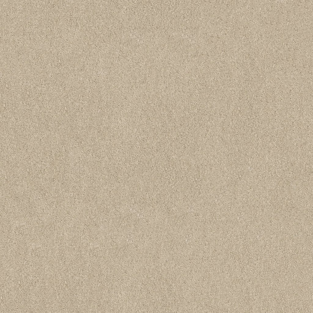 Shaw Floors Tip Of The Hat - Canvas