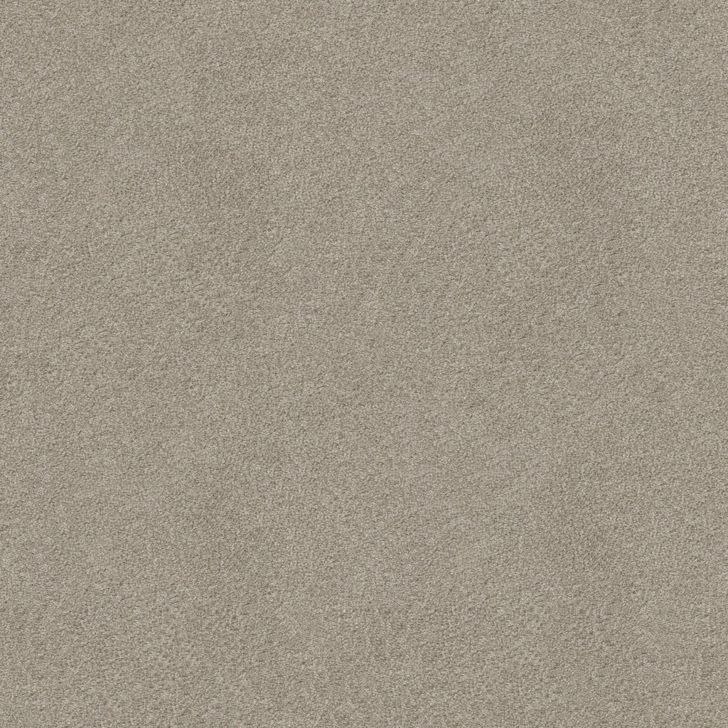 Shaw Floors YOU KNOW IT - Antique Silk